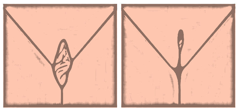 ilustração